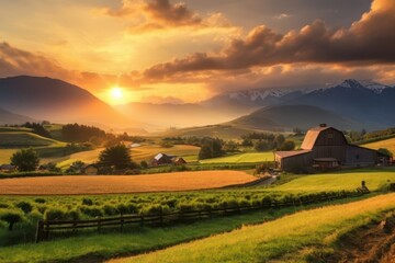 sunset over the fields