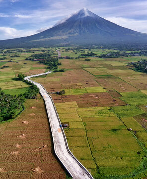 Mayon Volcano with a beautiful rice fields and clearly mayon view in Camalig Albay Bicol