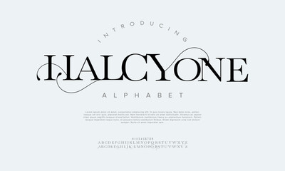 Halcyone typography beauty fashion elegant minimalist serif italic fonts decorative wedding vintage retro logos. Minimal luxury font alphabet logo. Vector illustration