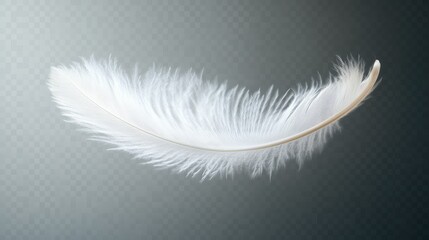 Delicate white feather floating gently in mid-air, with subtle motion blur on a transparent background.