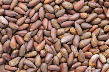 Pinyon Pine Nuts In The Shell