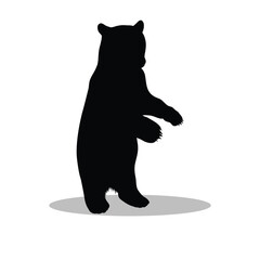 Bear silhouette illustration Design Bear silhouette icon