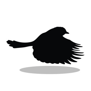 recommend clip art: Birds silhouette illustration Design Birds silhouette icon