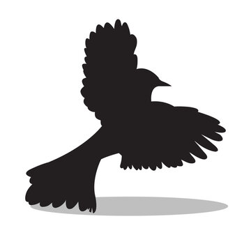 recommend clip art: Birds silhouette illustration Design Birds silhouette icon