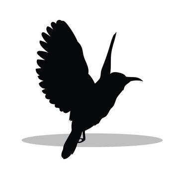 recommend clip art: Birds silhouette illustration Design Birds silhouette icon