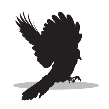 recommend clip art: Birds silhouette illustration Design Birds silhouette icon