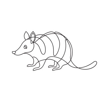 recommend clip art: Armadillo Animal continuous line art flat vector illustration on white background
