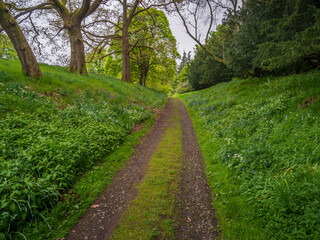 Fototapeta premium road through the park