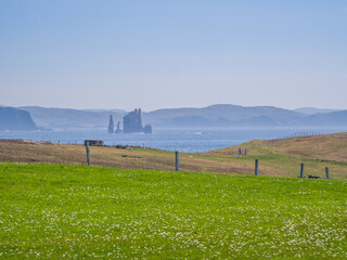 Fototapeta premium Coastal view across a field Shetland