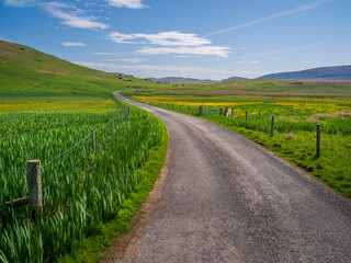 road in the countryside Shetland
