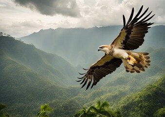 Majestic Philippine Eagle Gliding Above a Rugged Mountain Landscape.