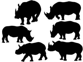 Set of Rhino pose wildlife illustration. Silhouette rhino animal. Rhino black silhouettes. 