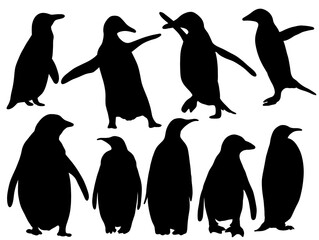 Silhouette penguin animal. Penguin black silhouettes. Set of Penguin pose wildlife illustration.