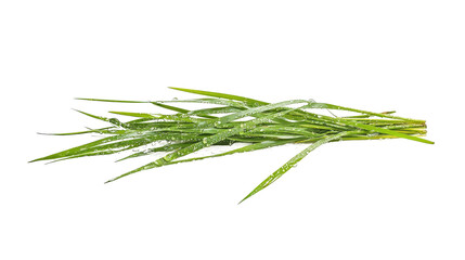 A close-up view of green grass blades arranged against a black background, showcasing texture and vivid color.