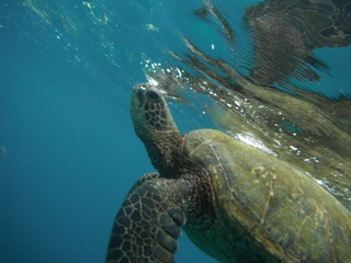 Fototapeta premium Surf breaking 