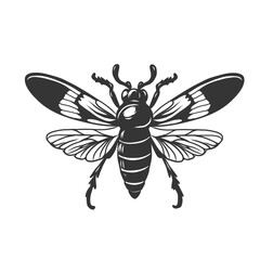 Monochrome fly for tattoo sketch, logo, package, print. Tropical fly insect black hand drawn engraving. Vector illustration isolated on transparent background