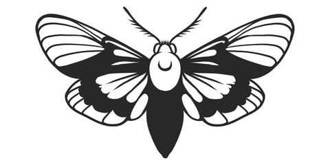 Stencil butterfly, moth wings and flying insect. Butterfly with lacy wings for logo, print, tattoo design. Monochrome fly insect black ink. Vector illustration isolated on transparent background