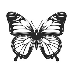 Elegant monochrome Butterfly silhouette for tattoo art, logo icon, coloring page, print. Insect butterfly vector illustration isolated on background. Minimalistic Concept in ink pen style.