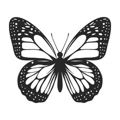  Hand drawn monochrome Butterfly for tattoo, logo. Ink pen style. vector illustration isolated on transparent background
