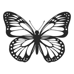 Hand drawn monochrome Butterfly for tattoo, logo. Ink pen style. vector illustration isolated on transparent background