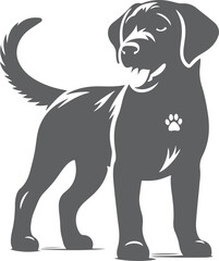 black labrador retriever dog