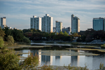 Fototapeta premium 빌딩과 공원의 호수 풍경