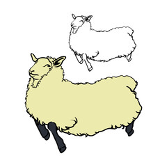 hand drawn vintage sheep vector with white background