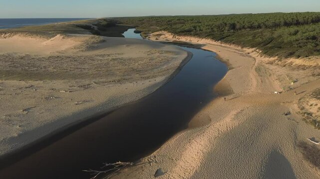 Coastal river called Courant d'huchet in french and located on the coast of Southwestern France, in moliets commune. Aerial view. Dolly forward.