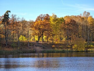 Autumn in a park with lakes