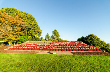 Floral flag of the USA at the Peace Arch Park in Surrey, BC, Canada