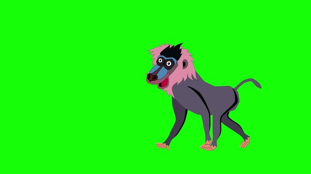 baboon cartoon walk animation green screen
