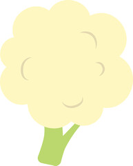 Cauliflower healthy food vegetable icon.