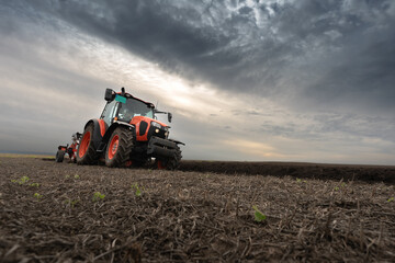 Fototapeta premium Tractor on the field during sunset.