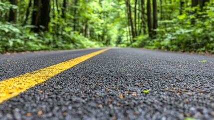 Fototapeta premium Asphalt Road Through Green Forest with Yellow Line