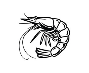 Fototapeta premium Shrimp Outline Silhouette EPS Vector Template Illustration