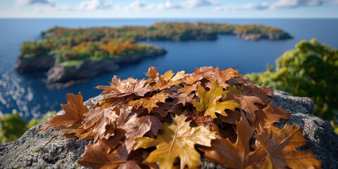 Autumn Leaves on a Rock with Distant Lake and Islands