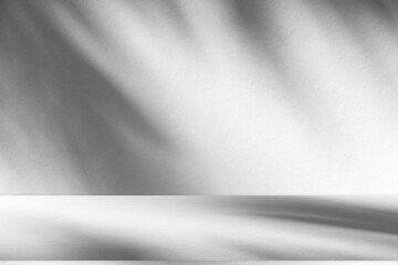 Wall interior background, studio and backdrops show products.with shadow from window color white and grey. background for text insertion and presentation product