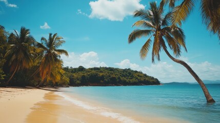 Obraz premium Serene Tropical Beach with Palm Trees and Turquoise Waters