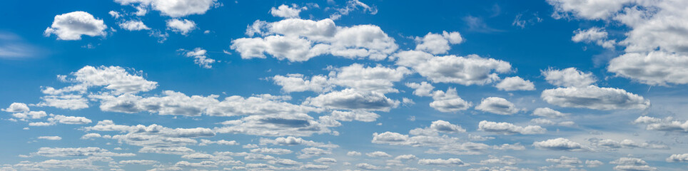 Fototapeta premium Panoramafoto von vielen Cumulus- oder Haufenwolken in klarer Luft mit blauem Himmel ohne Sonne und ohne Horizont als Schablone für Himmelshintergründe