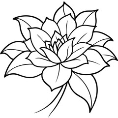 black and white lily