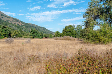 Countryside with trees and mountains in California 