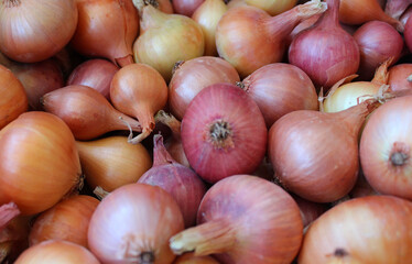 Pattern Of Large Dry Onions At Vegetables Storage Closeup View 
