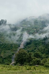 Fototapeta premium Misty Mountain Landscape with Waterfall