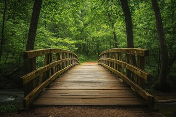 Fototapeta premium Wooden bridge over a stream in a lush green forest.