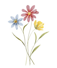 Flowers watercolor, floral clip art. Bouquet perfectly for printing design on invitations, cards, posters, wall art and other. Isolated on white background. Hand painting.