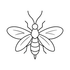 firefly on white background