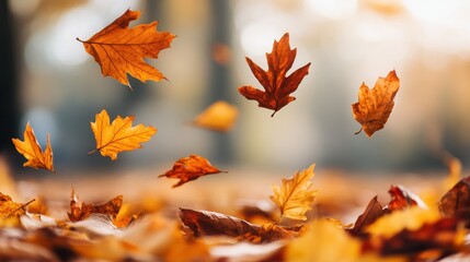 A beautiful display of autumn leaves falling gracefully, showcasing vibrant orange and yellow hues against a blurred background.