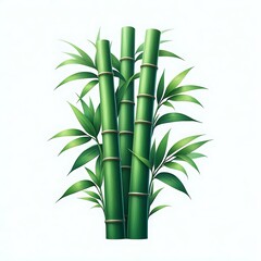 Fototapeta premium Green bamboo with leaves