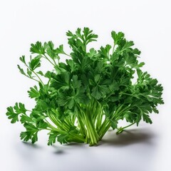 Obraz premium Bunch of fresh parsley on white background. Generated with AI. 