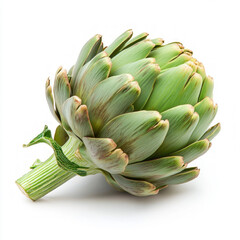 Fototapeta premium Artichoke Isolated